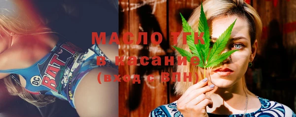 соль ск Михайлов