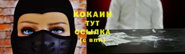 соль ск Михайлов