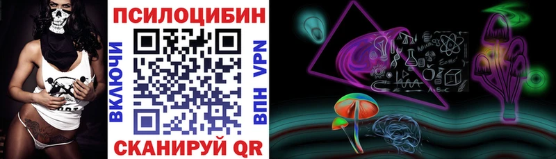 Купить закладки  Полтавская  Галлюциногенные грибы Psilocybine cubensis 